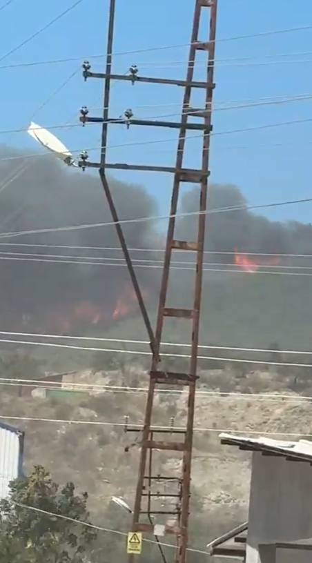 Hatay alev alev: Yangın evlere ulaştı 9